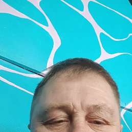 , 48, 