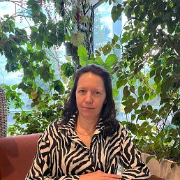 ���� �������, ������ - ��������� 8 ������� 2025