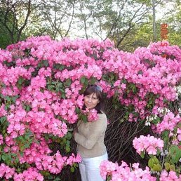 ������, ������, 58 ���