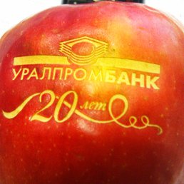���� ����, ���������, 46 ��� - ��������� 8 ������� 2026