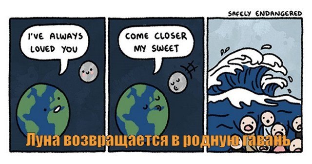  - 19  2024  11:13