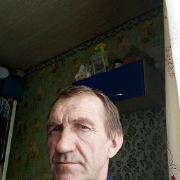 , 53 , 