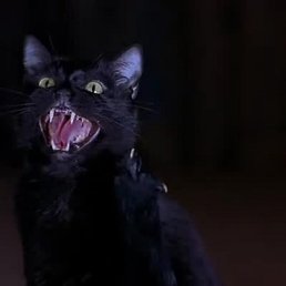 ������, ������-��-����, 29 ���