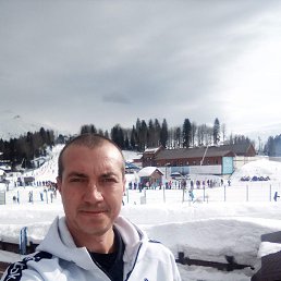 ���� ����, �����������, 43 ���� - ��������� 2 ������� 2026