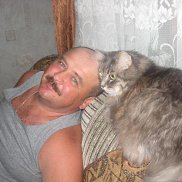 , 62 , 