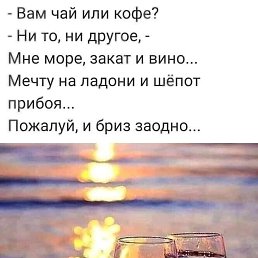 ���� �����, �����-���������, 43 ���� - ��������� 17 ������� 2026