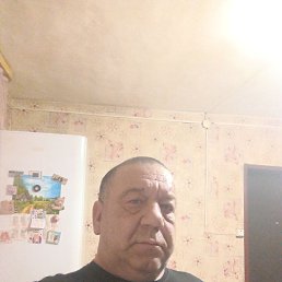 , 56, 