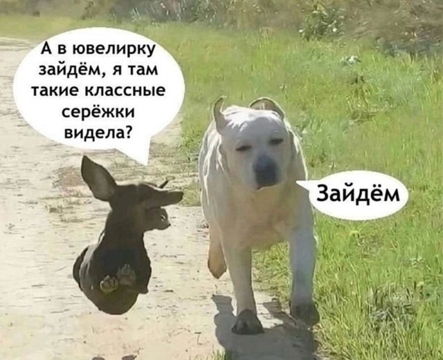 ,     - 4