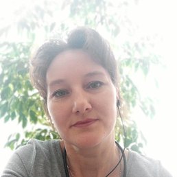 , 41, 