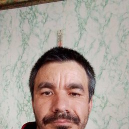 , 37, 
