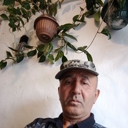 , 60 , 
