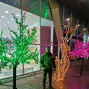 ���� ����, �����, 38 ��� - ��������� 13 ������� 2025 � ������ ���� ����������