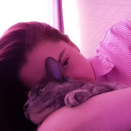 ���� ������, ������, 39 ��� - ��������� 16 ������ 2026