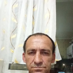 , 51, 