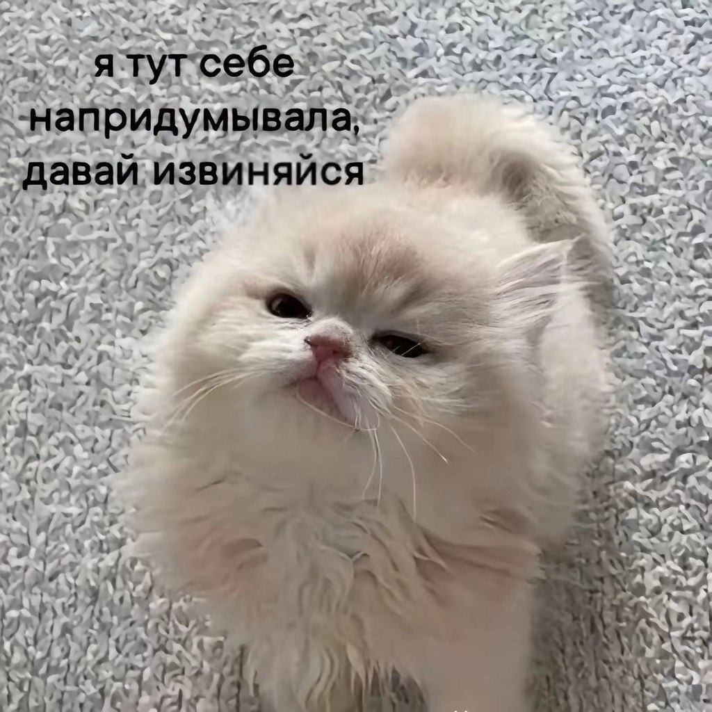 . - 29  2025  12:53 - 2