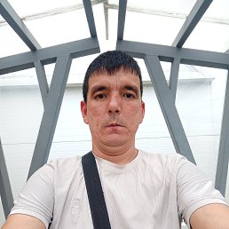 ���� �����, ���������, 42 ���� - ��������� 25 ������ 2024