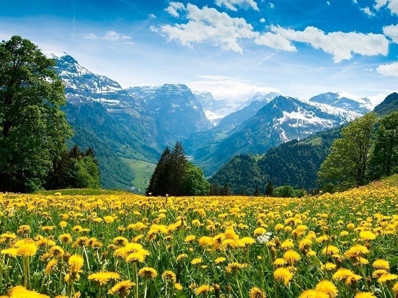 ������� �������� � ���� ���� ��, ��� ��� ����� � ����. � ������ �� ����-��������