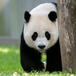 ���� �����, ����-���, 41 ��� - ��������� 27 ������� 2023