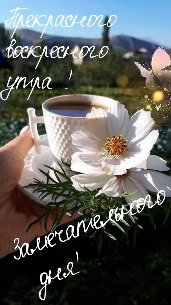   ,    . - 15  2025  07:53