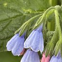 ������� �� ������� ������25�