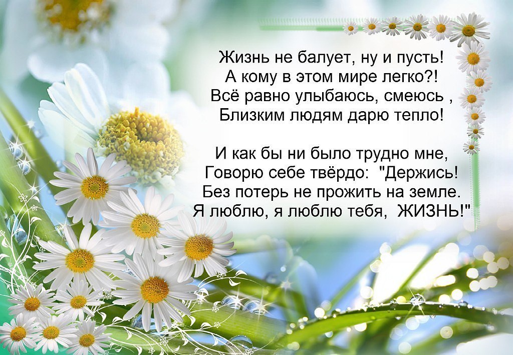   - 17  2024  13:08