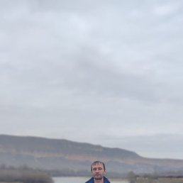 ����, ��������, 37 ���