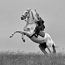 ���� Black, ������������, 26 ��� - ��������� 19 ��� 2024 � ������ ���� ����������