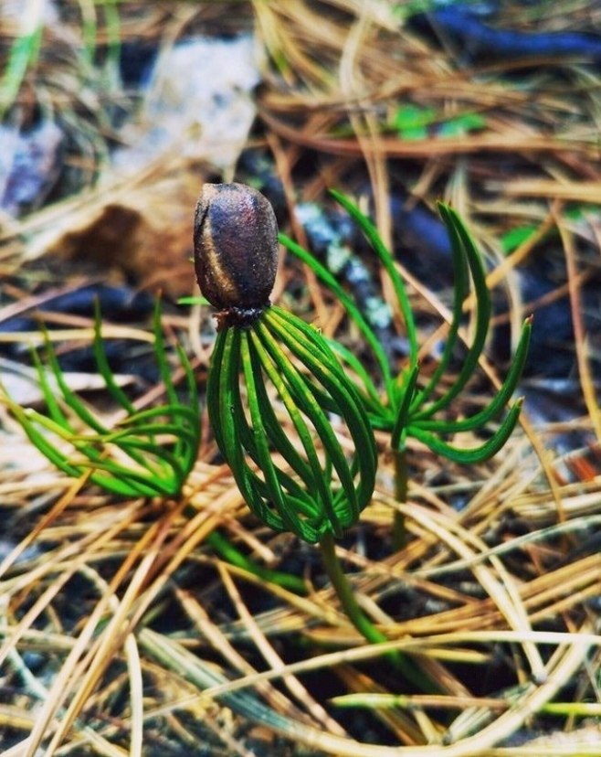 ��� ����a��c� ������e �e���