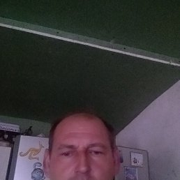 , 44, 