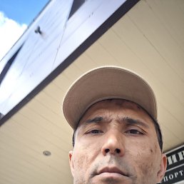 , 41, 