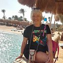 ���� ������, ������������, 58 ��� - ��������� 17 ������ 2026 � ������ ���� ����������