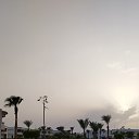 ���� ��������, ����, 46 ��� - ��������� 22 ����� 2024 � ������ ���� ����������