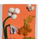 ���� Svetlozar, �����, 45 ��� - ��������� 1 ������� 2025 � ������ ����� �� ����