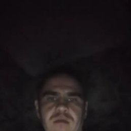 , 31, 