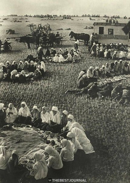 Какая-то очень уютная фотография... Граждане Советского Союза во время обеде в полях, 1934 г.