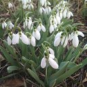 ���� �������, �������, 59 ��� - ��������� 30 ������� 2025