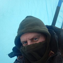 ���� ���������, �����������, 40 ��� - ��������� 20 ������ 2024