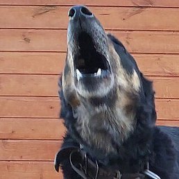 ��, ������, 49 ���