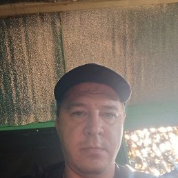 , 41, 