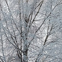 �������, �����-���������, 45 ���