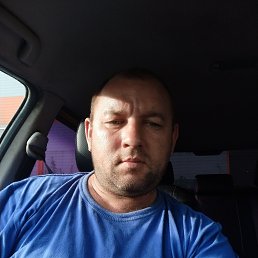 , 41, 