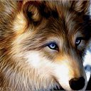 ���� ��������, ������������ - ��������� 16 ������ 2023