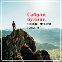 ���� Bek, �����, 38 ��� - ��������� 1 ������ 2024 � ������ ���� ����������