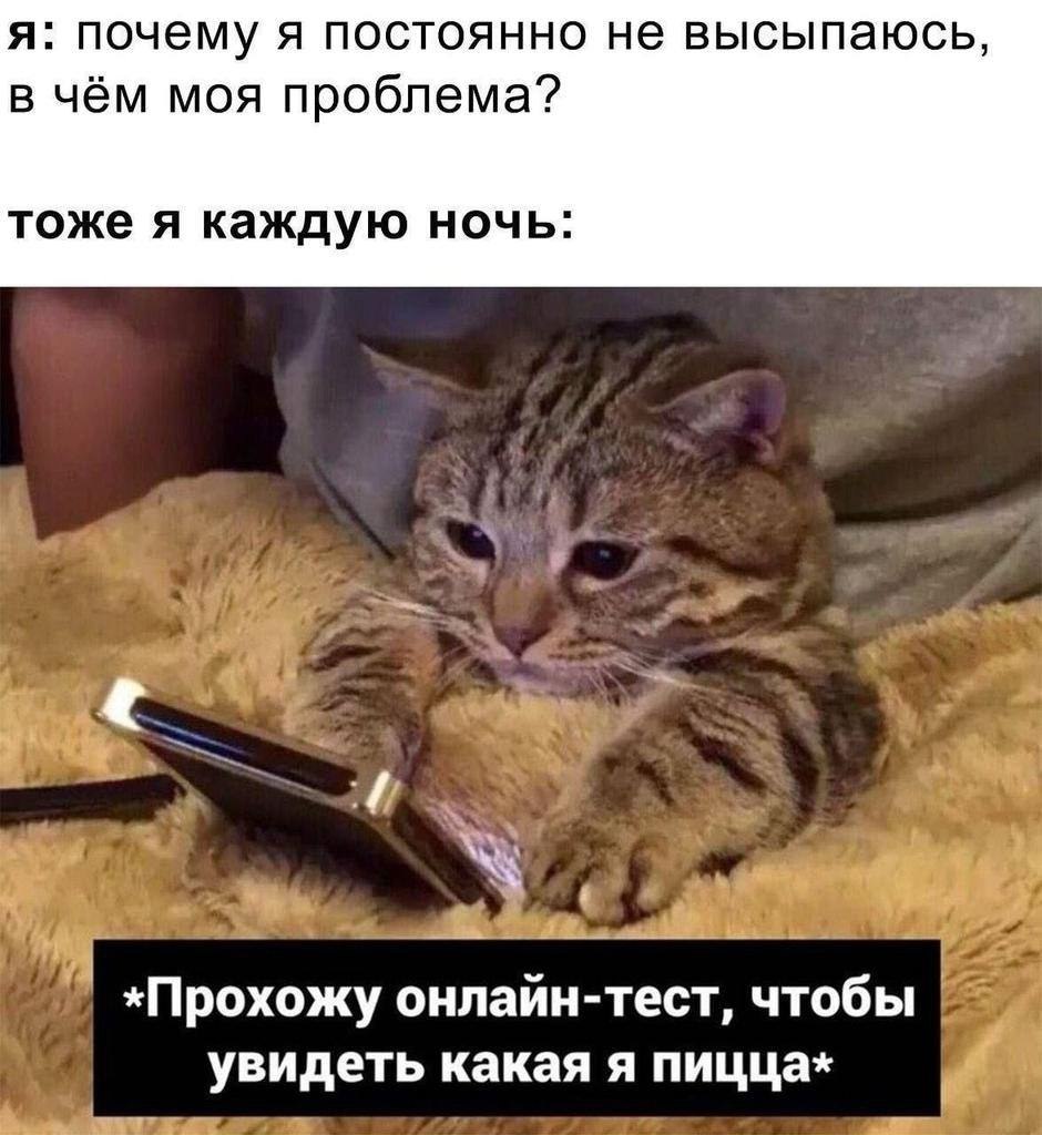    - 22  2024  20:39
