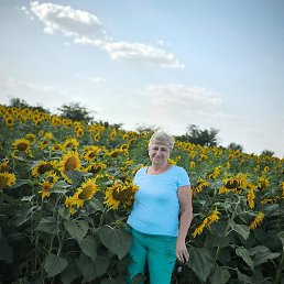 ������, ���������, 63 ����