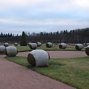  , -, 67  -  26  2023    