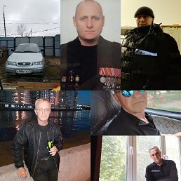 , 54 , 