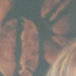 ����, ������, 53 ����