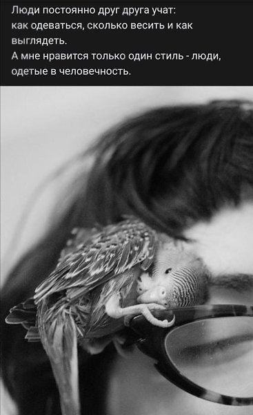 ***Victoria Viktorovna*** - 14  2024  03:48