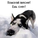 ���� ��������, ���������, 45 ��� - ��������� 21 ����� 2026 � ������ ������ ��������